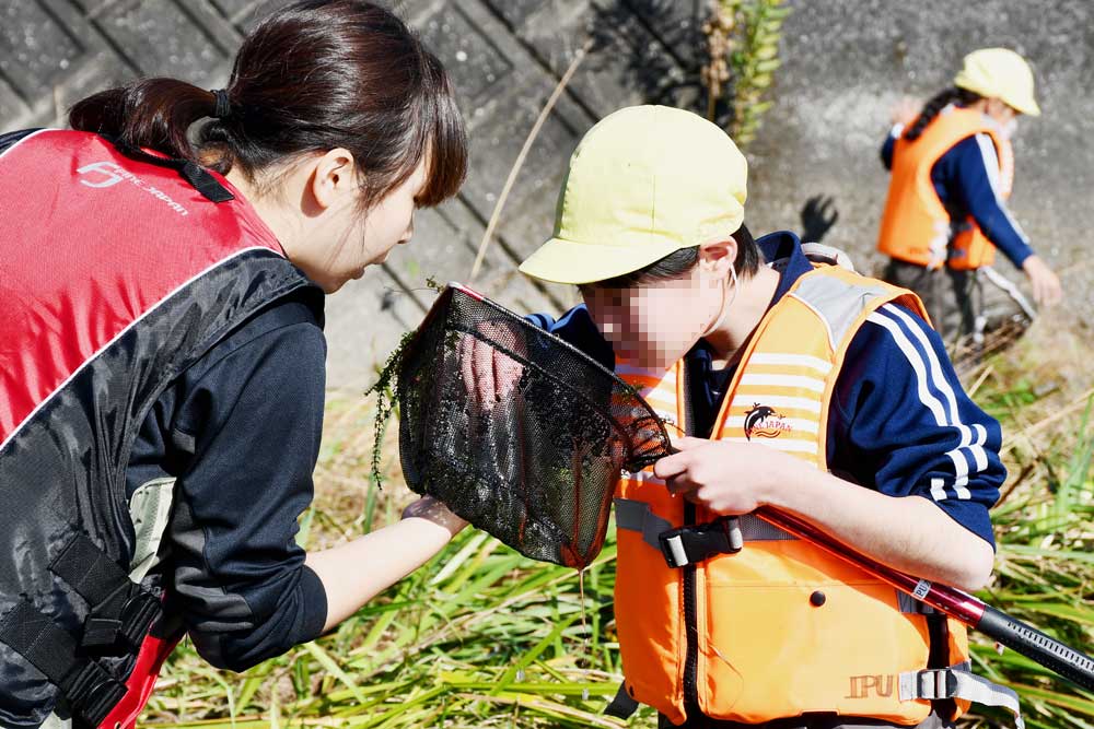 総合的な学習の時間を支援 赤磐市立城南小学校にて